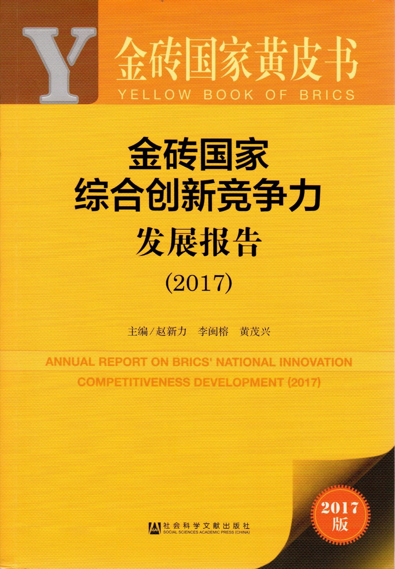 疯狂爆操在线观看金砖国家综合创新竞争力发展报告（2017）